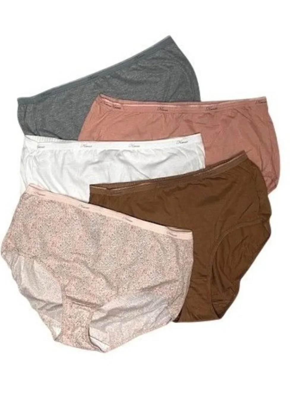 Hanes Women's Tagless Set of 5 Cotton Briefs 10/3XL